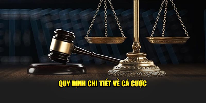 Quy định chi tiết về cá cược