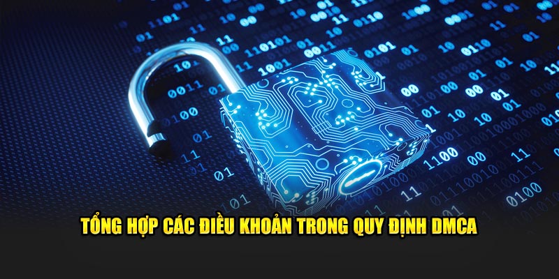 Tổng hợp các điều khoản trong quy định DMCA