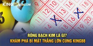 Rồng Bạch Kim Là Gì